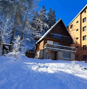 Jahorina Villa Krila